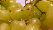 P1000326.jpg