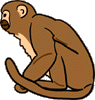 opice.gif