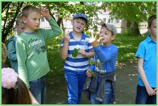 img00008.jpg