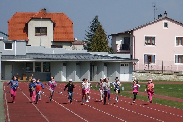 img00009.jpg